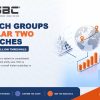 Which Groups Does Pillar Two Actually Catch?