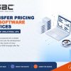 Transfer Pricing for IT and Software Services in India