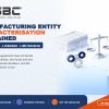 Which Manufacturing Entity Characterisation Fits Your Subsidiary?