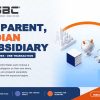 How Does Transfer Pricing Work for a US Parent With an Indian Subsidiary?