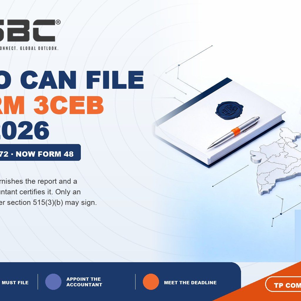 Who Can File Form 3CEB, and Who Certifies It?